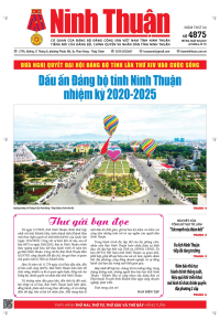 Báo giấy NTO