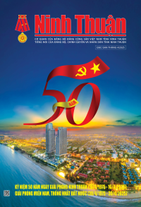 Báo giấy NTO