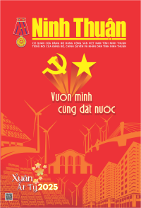 Báo giấy NTO