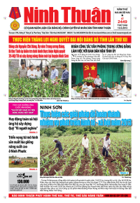 Số 2449 của tờ Báo ngày